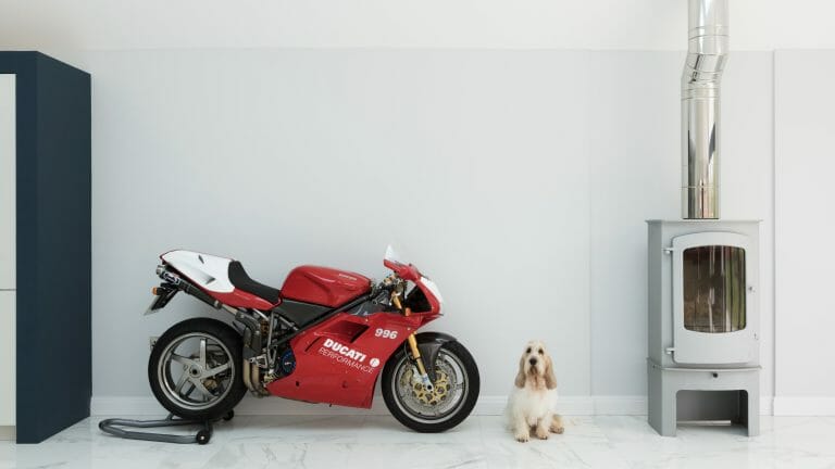 ducati and dog